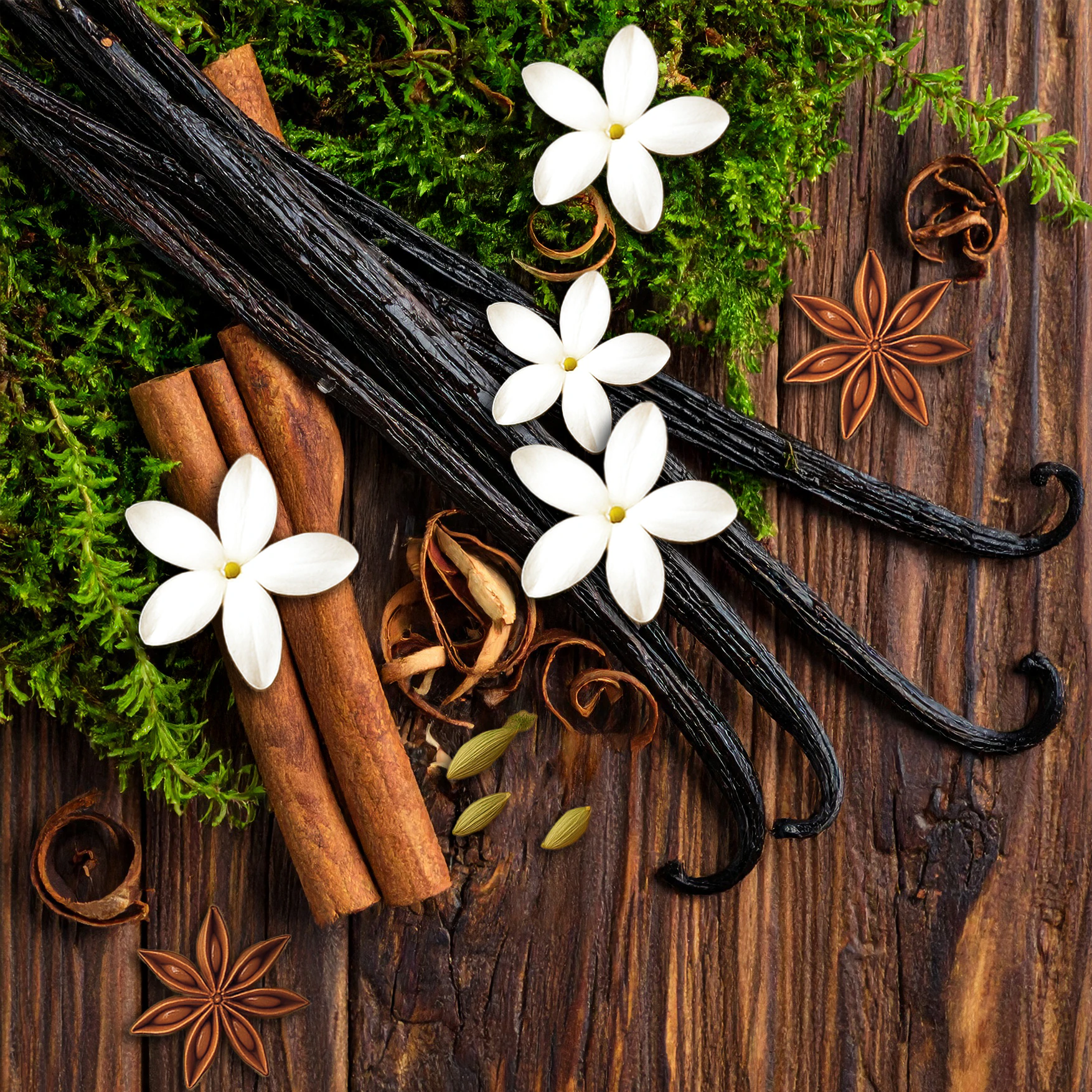 <strong>Woody Oriental</strong><br>